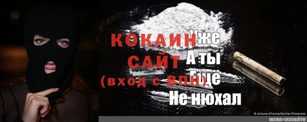 дурь Алексин