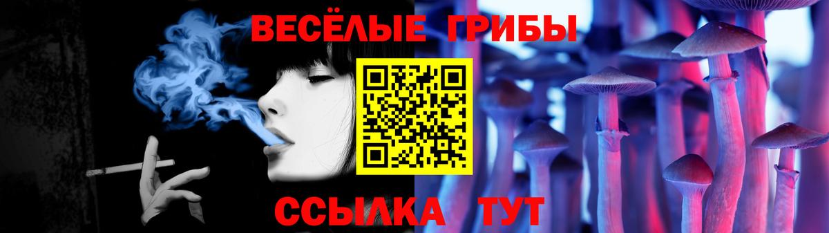 Псилоцибиновые грибы мицелий  Вход с VPN  Чистополь  Галлюциногенные грибы мицелий 